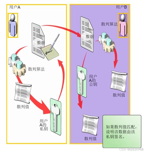 Windows环境下的数字签名与数字内容制作服务 构建可信网络安全的基石